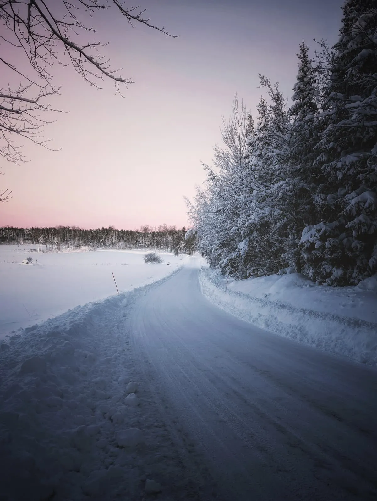 Weekly training photos
